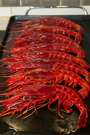 Grillade Carabineros med vitlök, citron och olivolja