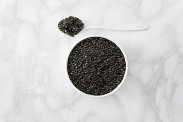 Caviar Siberian Silk