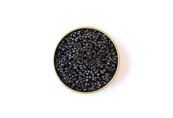 Caviar Oscietra Gold