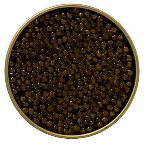 Caviar Trio Deluxe Box - Vasafiskerian