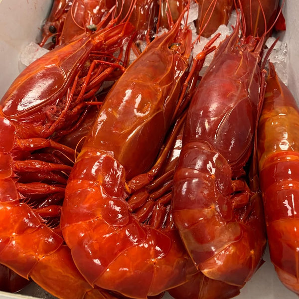 Carabineros, 1kg