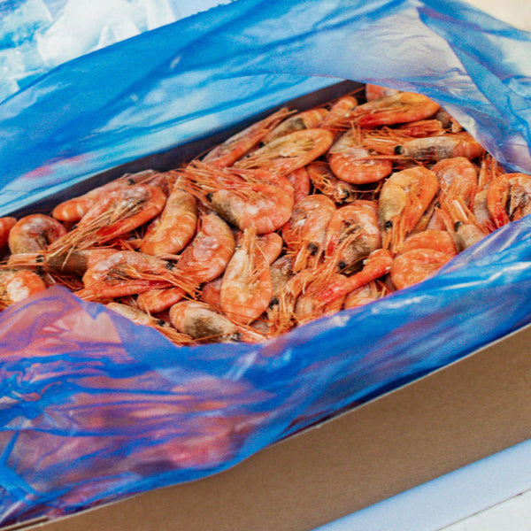 Nyfiskade Räkor XXL 40/60, 5kg