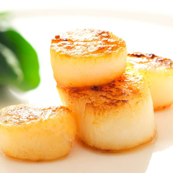 Edward Bloms Fisk- & Skaldjurslåda