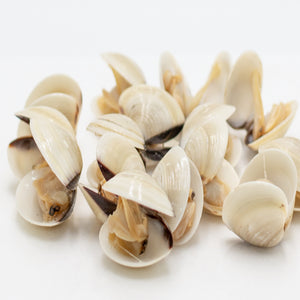 Vongole