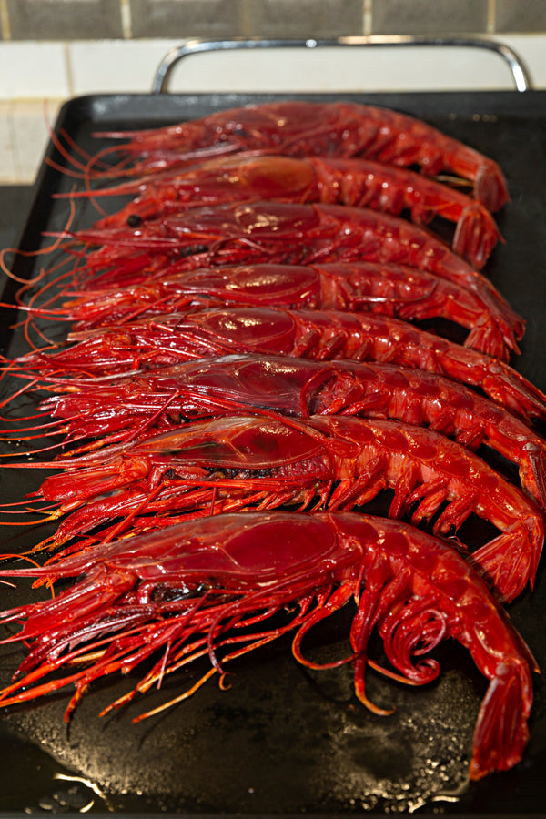 Grillade Carabineros med vitlök, citron och olivolja