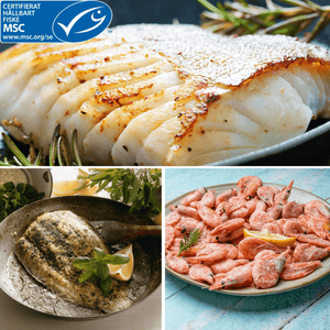 Varför välja MSC-märkt färskfryst fisk?