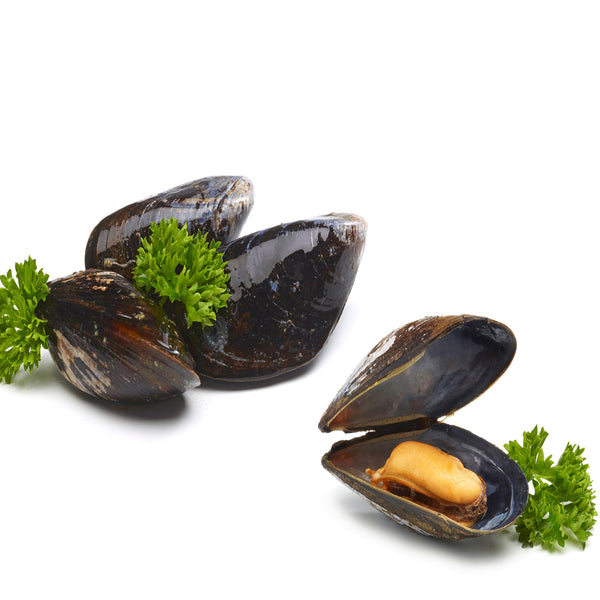 Blue mussels ASC, 1kg fr. SEK 159/kg