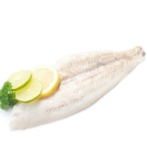 Rödspätta